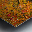 Pathway to Autumn Metal print