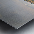  Autumn’s Quiet Meadow Metal print