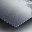 Frozen Kingdom Metal print