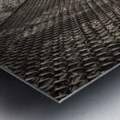 The Path Forward Metal print