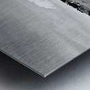 The Long Walk Home Metal print