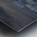 Diamond Beach Metal print