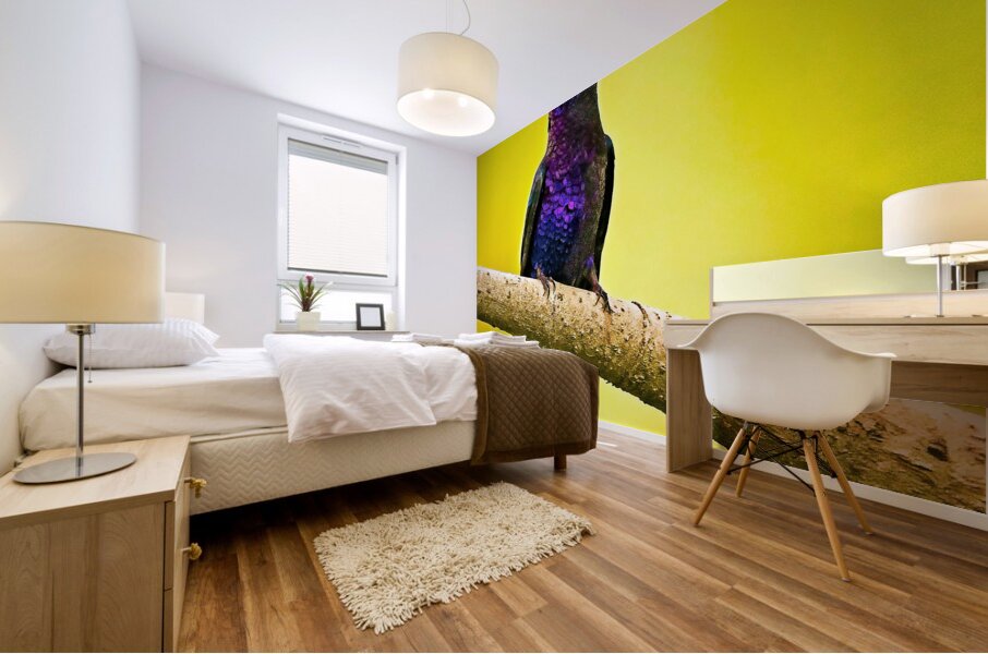 Violet Majesty Mural print