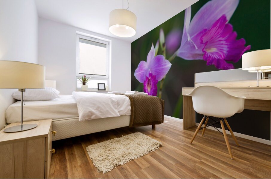 Purple Orchid Pair Mural print
