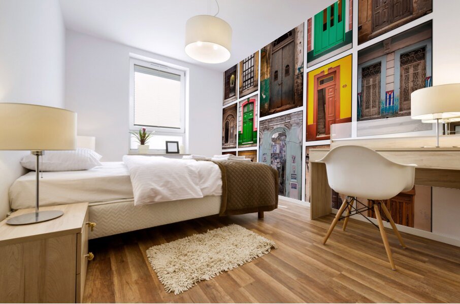 Doors of the World Mural print