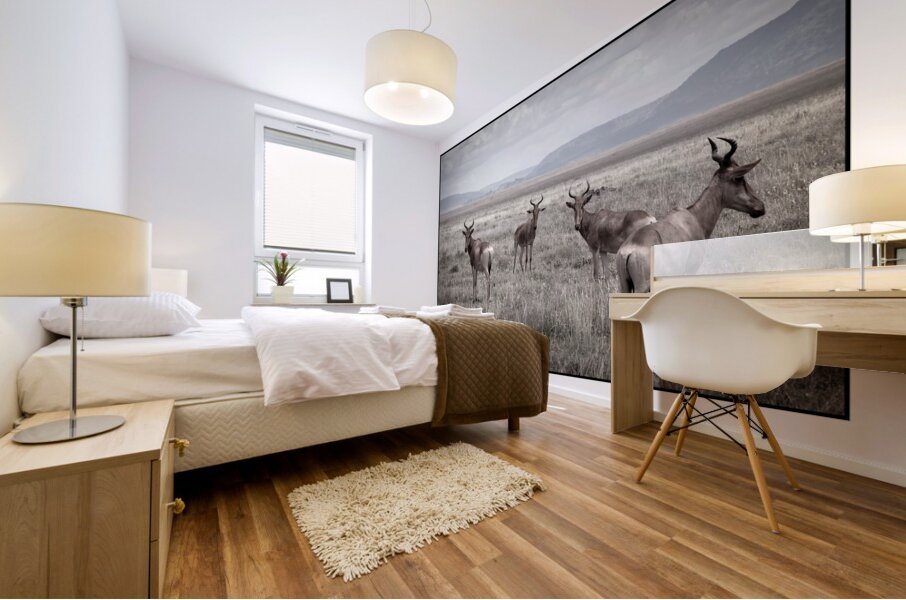 Antelope on the Plains Mural print