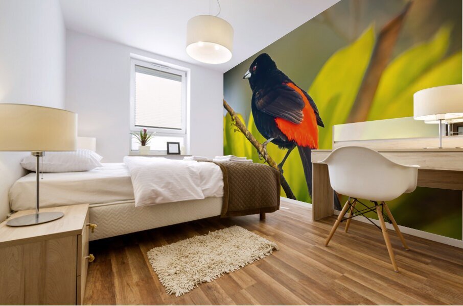Skyfire Starling Mural print