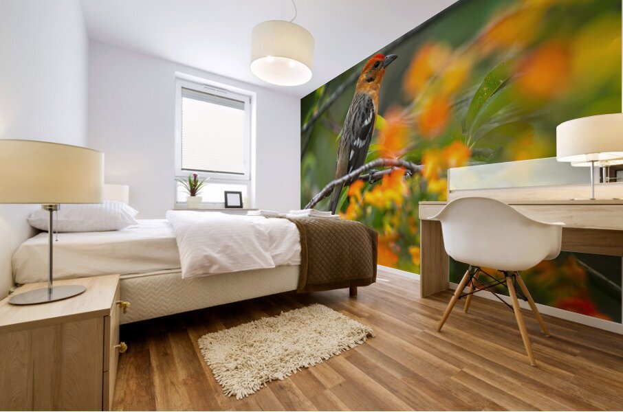 Firecrest in Bloom Mural print