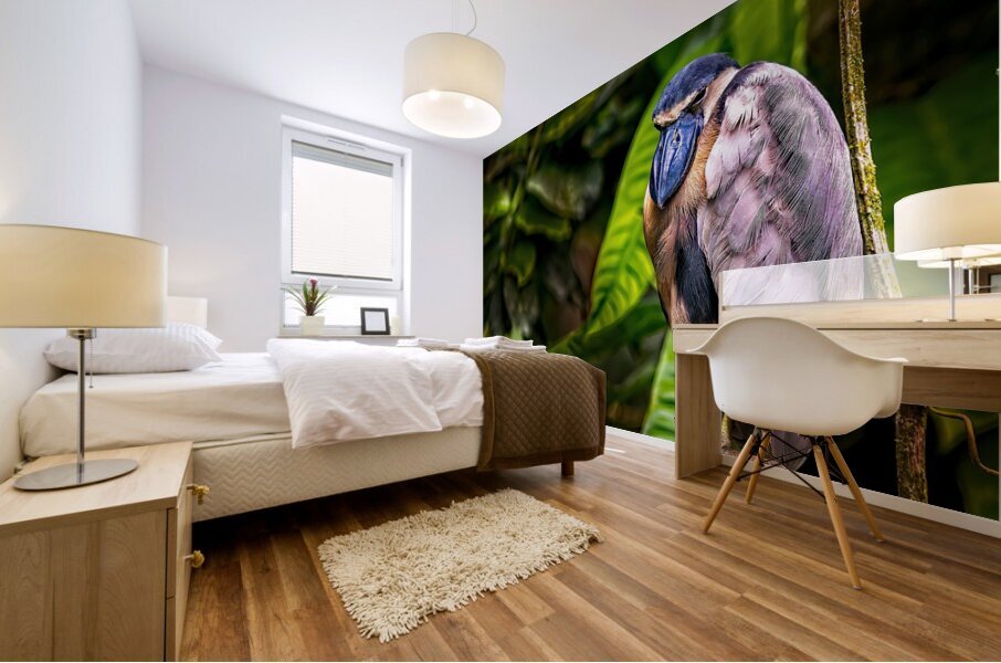 The Rainforest Dreamer Mural print