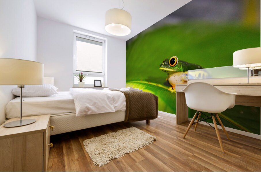 Frog on Leaf Mural print