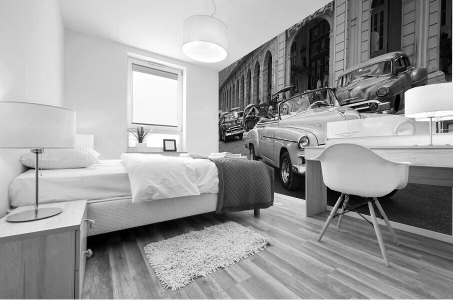 Plaza Cruisers Mural print