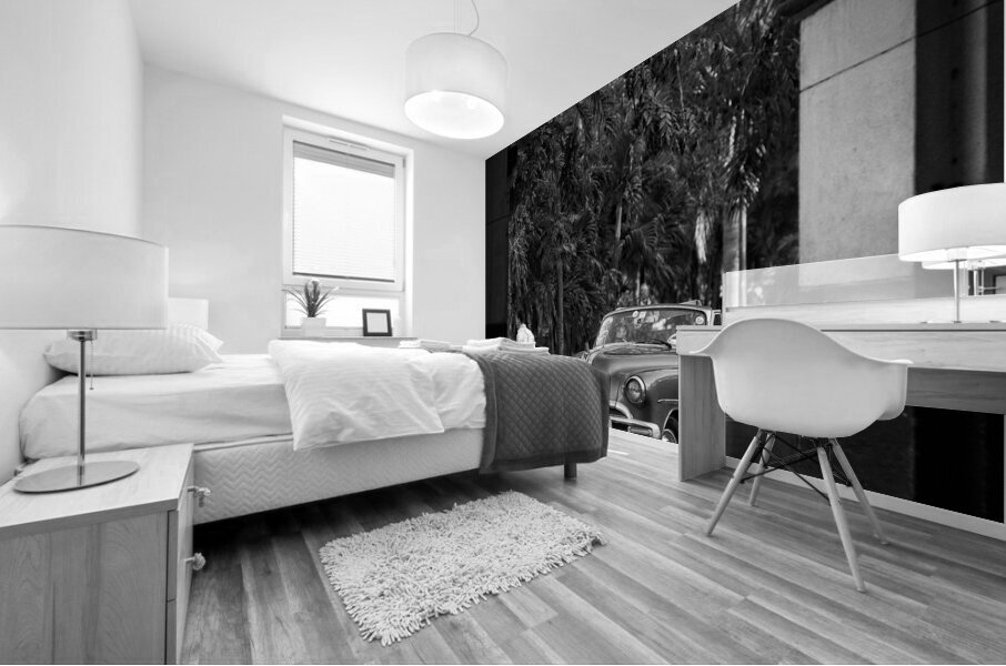 Havana Through the Archway Mural print