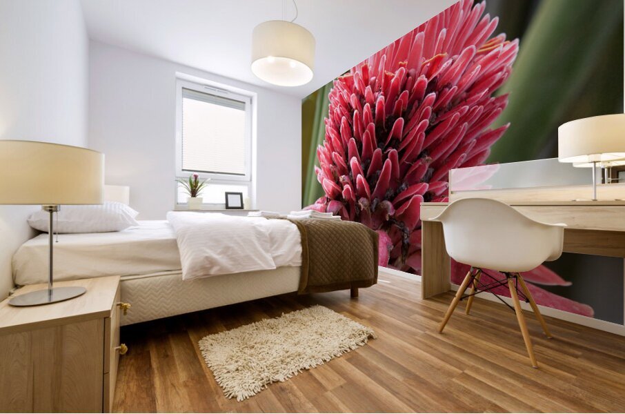 Torch Ginger Bloom Mural print