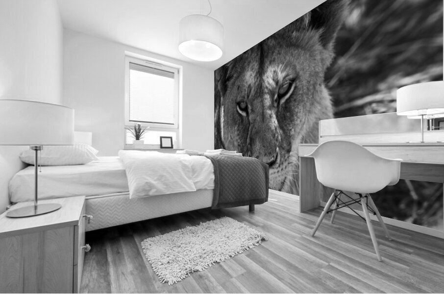 The Lioness Stare Mural print