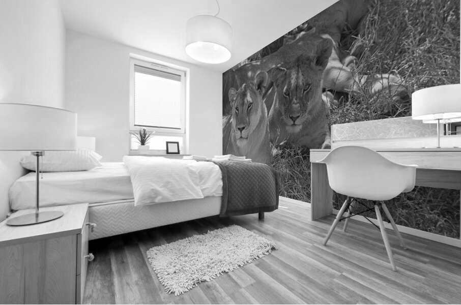 Sisters of the Savannah Mural print