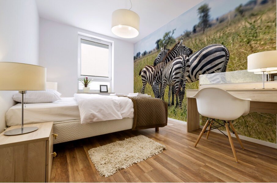 Striped Harmony Mural print