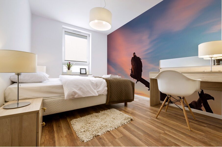 Sky Watcher Mural print