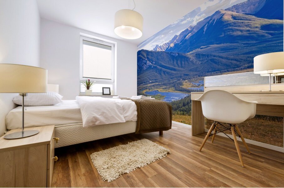 Valley of Light Mural print