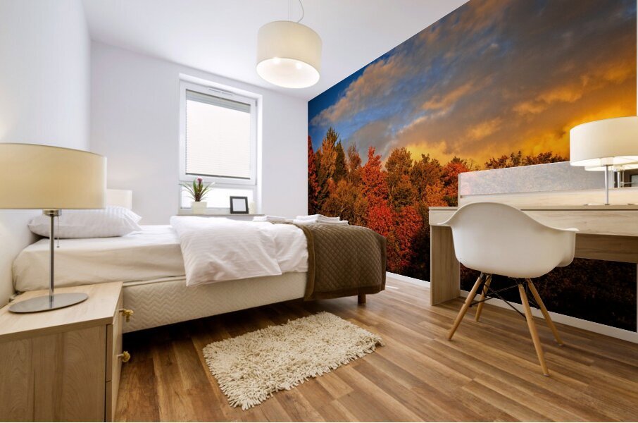 Golden Hour in the Treetops Mural print