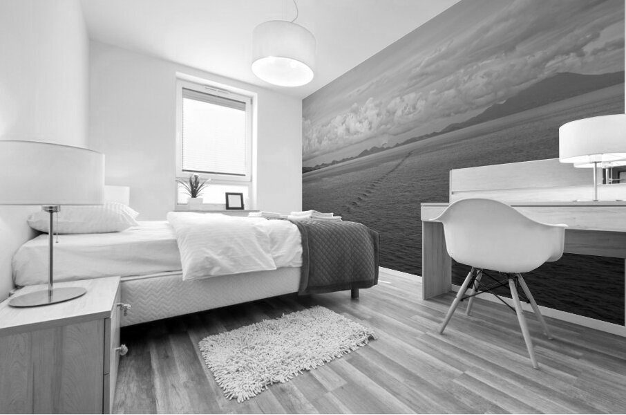 The Journey’s Wake Mural print