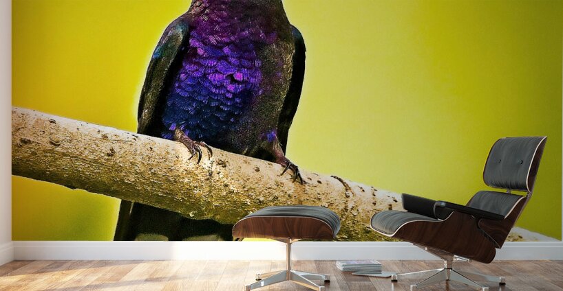 Violet Majesty Wall Murals