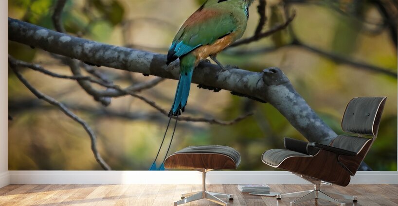 Tropical Whisper Wall Murals