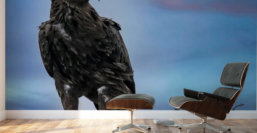 Sky Monarch Wall Murals