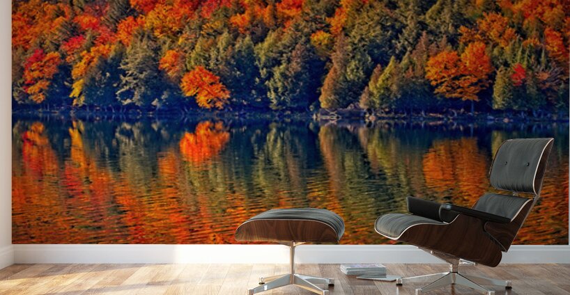 Autumn Forest Reflection Wall Murals