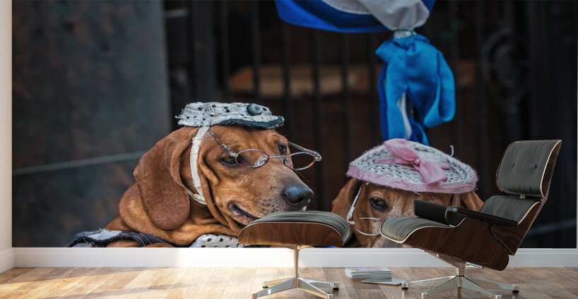 Cuban Companions Wall Murals