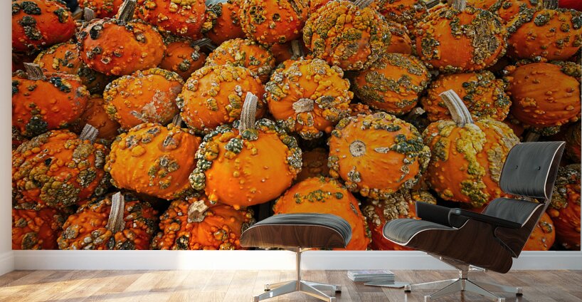 Autumn Harvest Glow Wall Murals