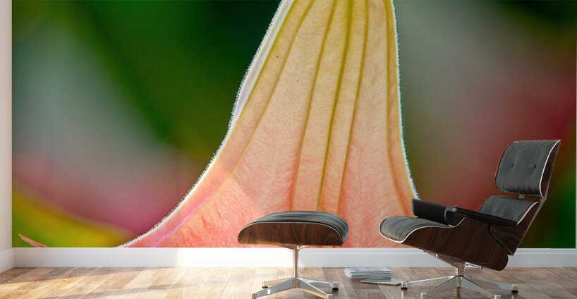 Angel’s Trumpet Glow Wall Murals