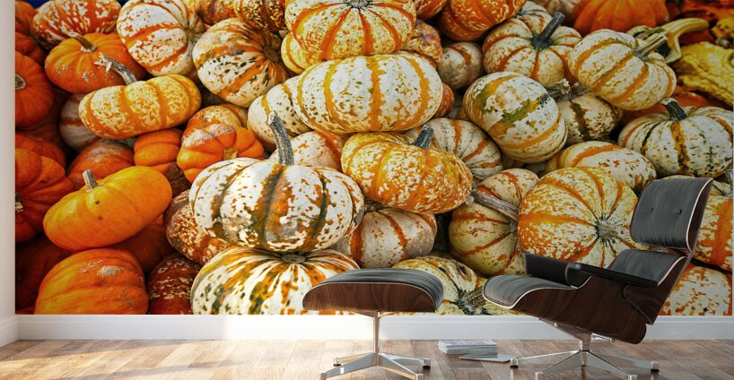 Harvest Harmony Wall Murals