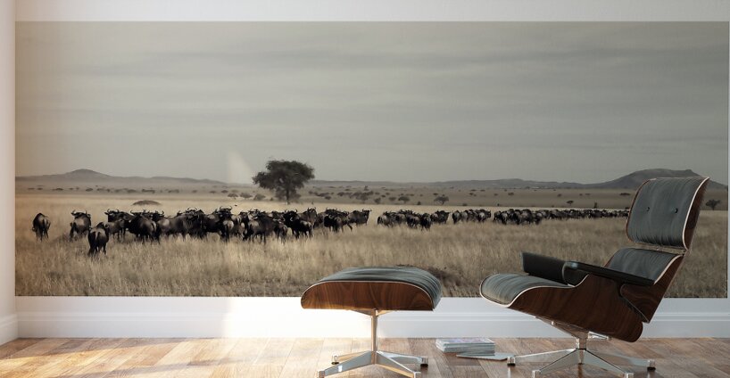 The Long Trek Wall Murals