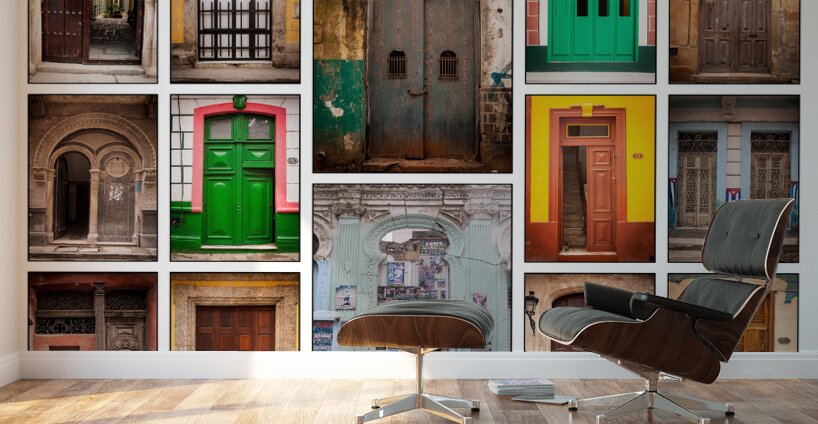 Doors of the World Wall Murals