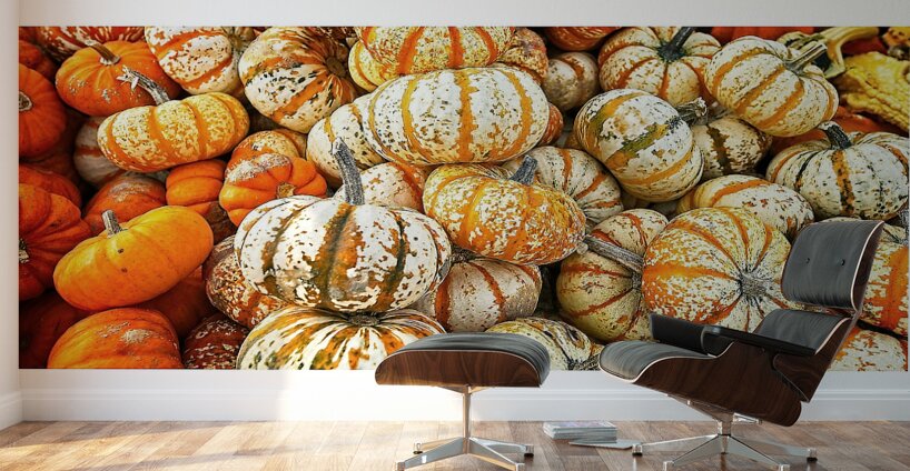 Autumn Harvest Wall Murals