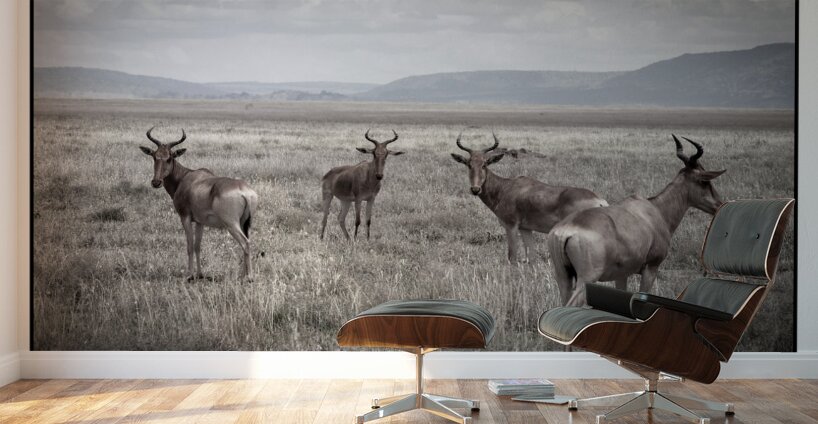 Antelope on the Plains Wall Murals