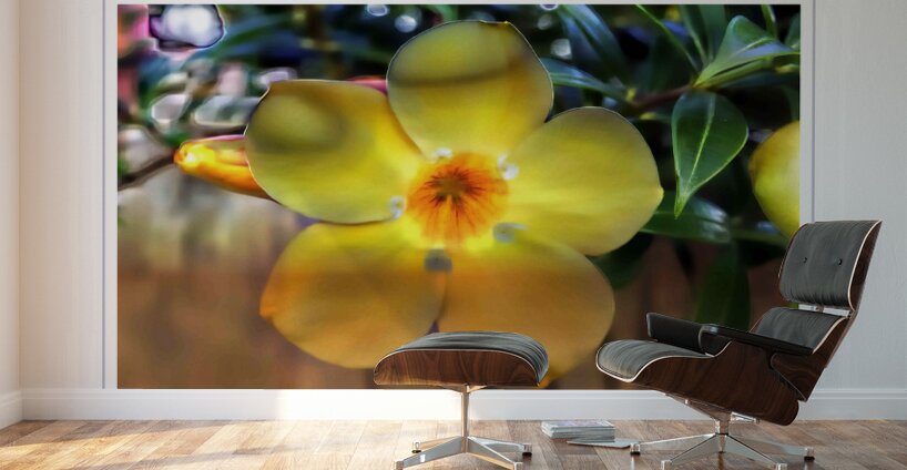 Yellow Flower Glow Wall Murals