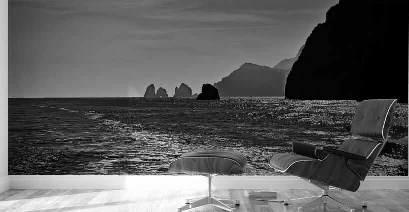 Shimmering Coastline Wall Murals