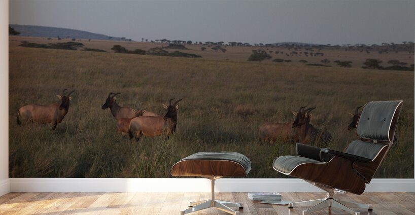 Sentinels of the Plains Wall Murals