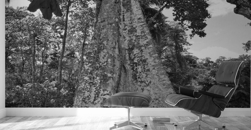 Roots of Time Wall Murals