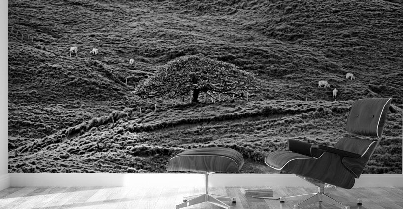 Hills of Time Wall Murals