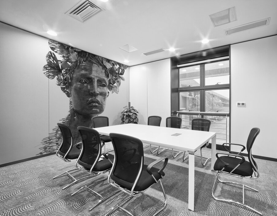 Fragmented Muse Wall Printing