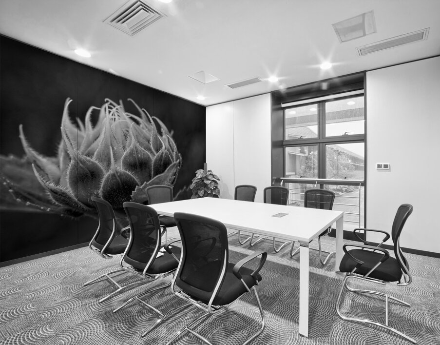 Emergence Wall Printing