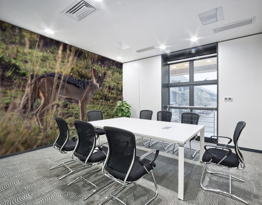 Black-Backed Jackal Wall Printing