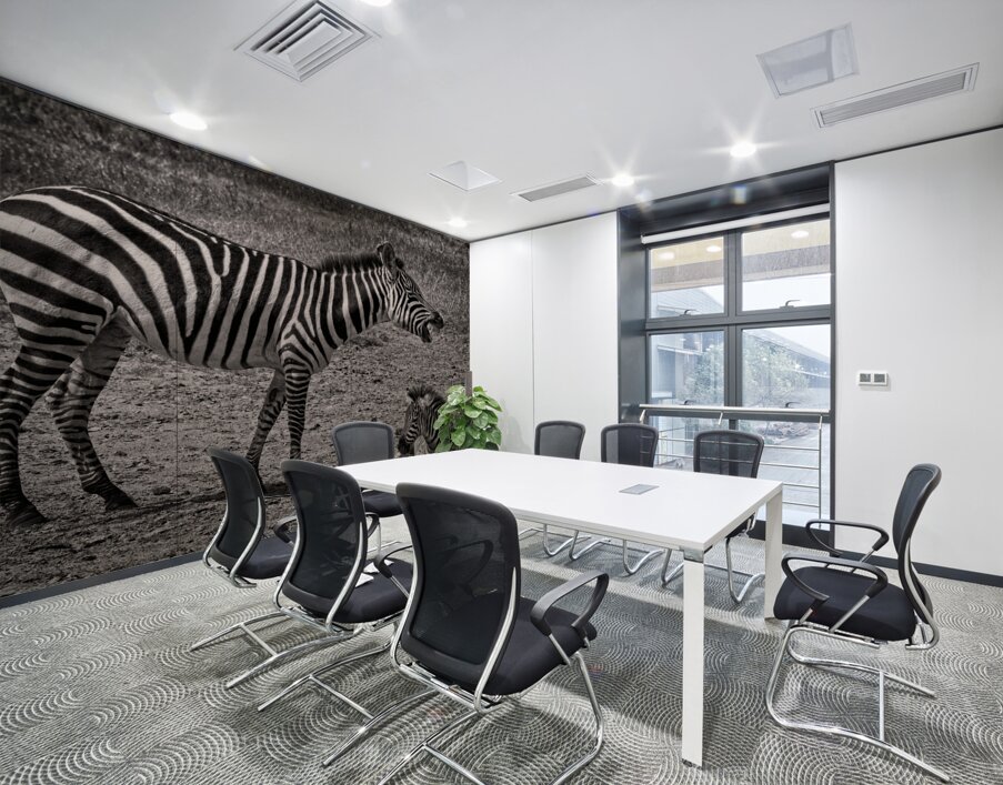 Zebras at Rest Wall Printing