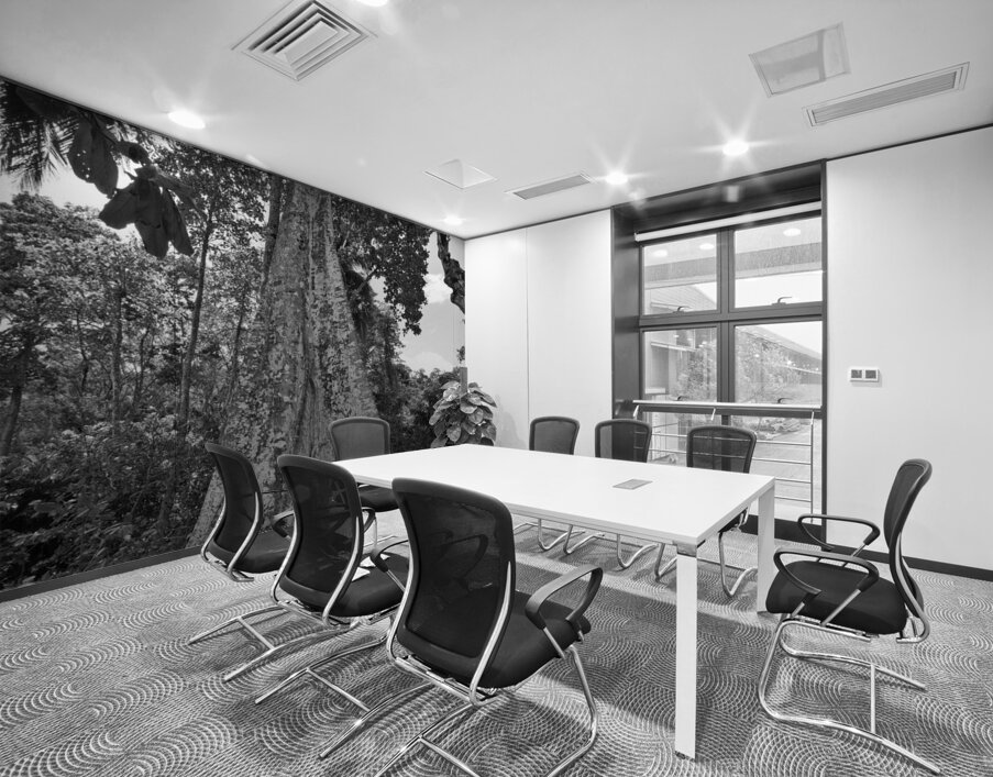 Roots of Time Wall Printing