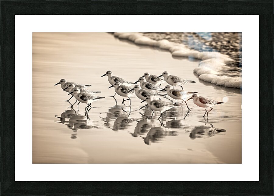 Gentle Pursuit Picture Frame print