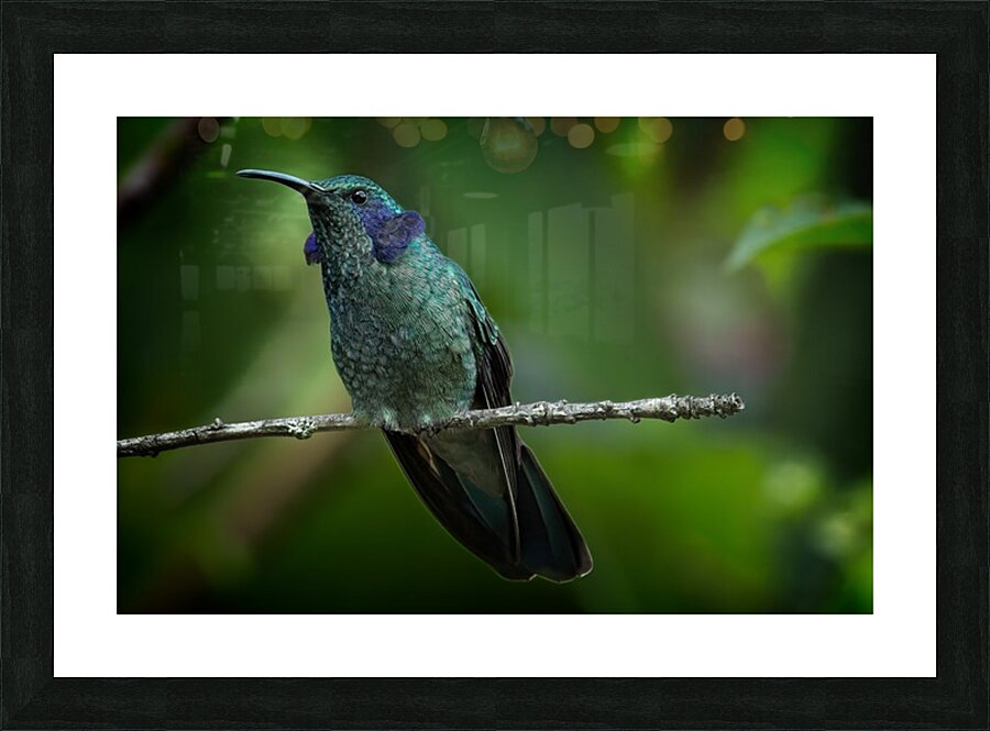 Emerald Whisper Picture Frame print