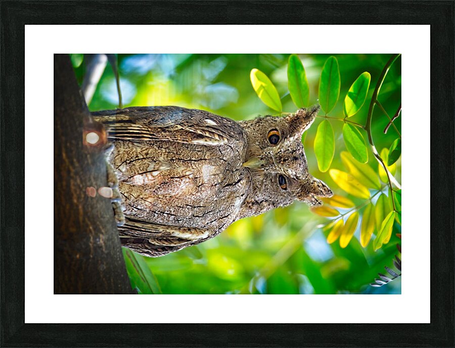 Silent Sentinel Picture Frame print