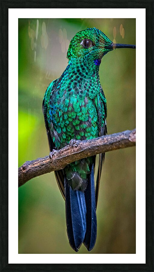 Emerald Spark Picture Frame print